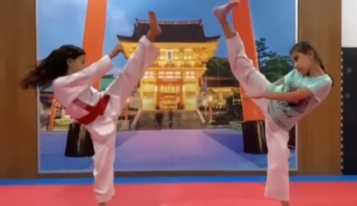 Taekwondo